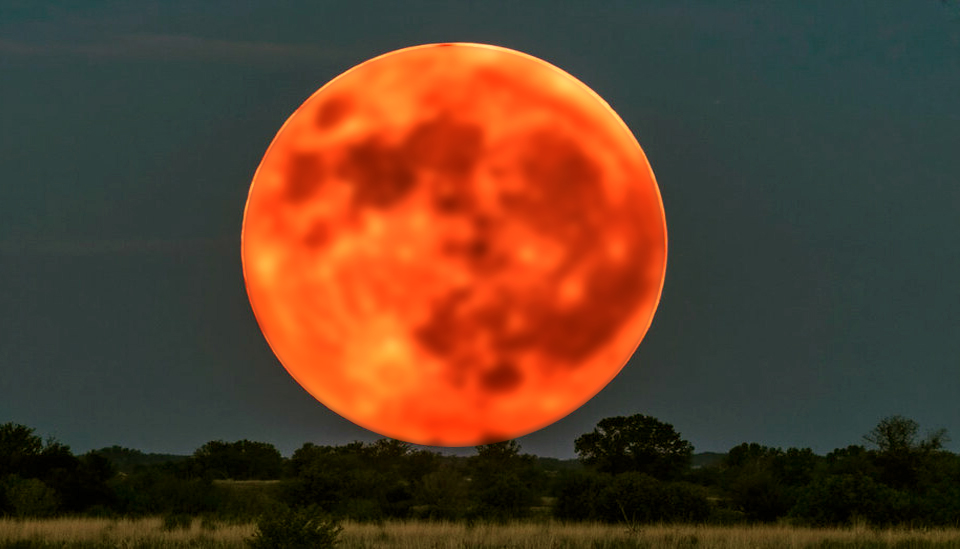 Волчья луна красноярск