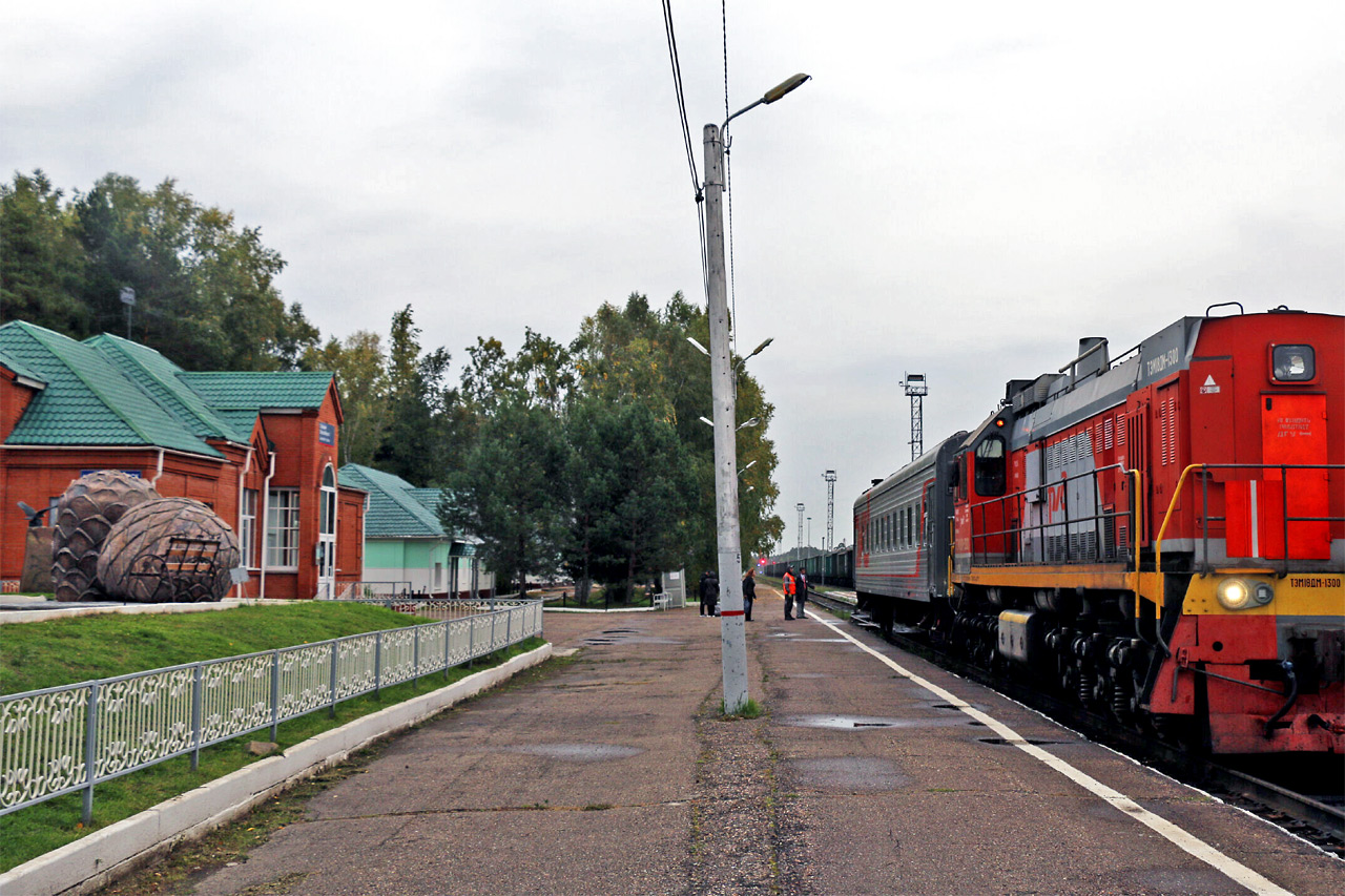 Пригородный поезд на вокзале Лесосибирска