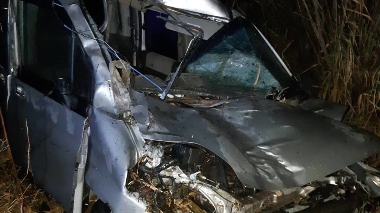 Водитель погиб после столкновения с лосем под Ачинском