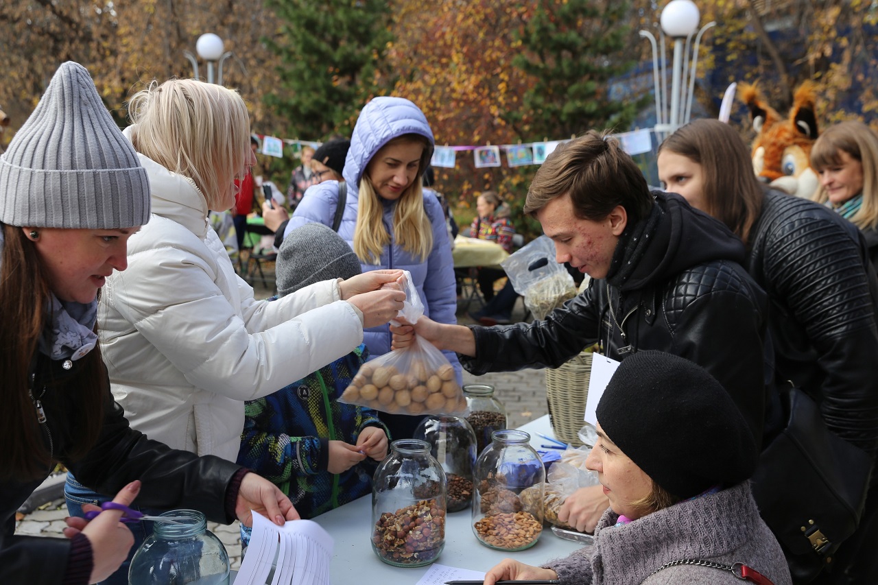 Волонтеры на экоакции собрали орехи для белок красноярского Центрального парка