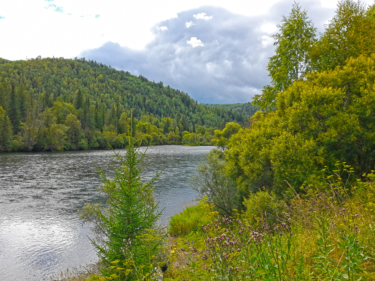 река мана, осенняя погода, пейзаж с рекой, пейзаж с лесом