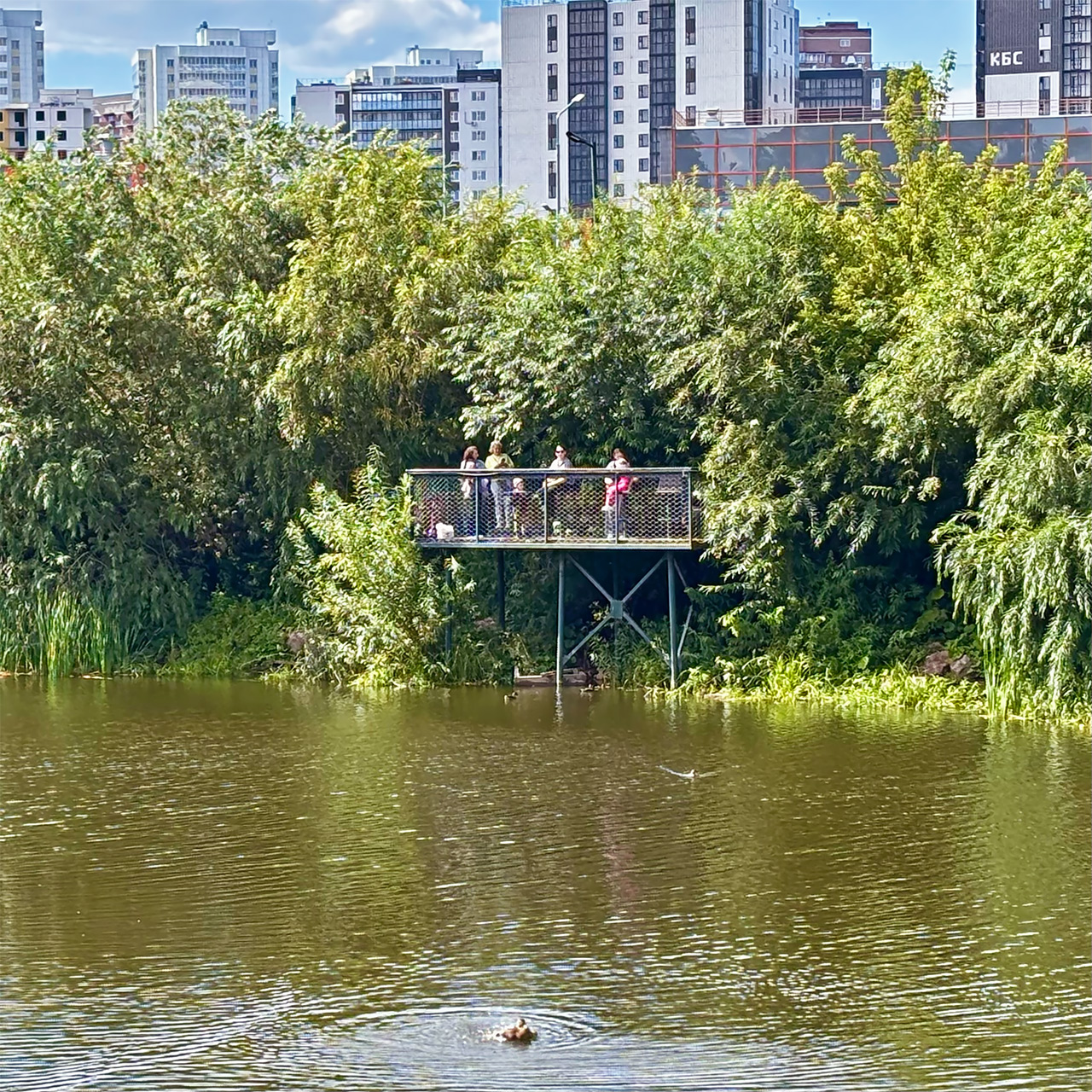 Озера на Пашенном