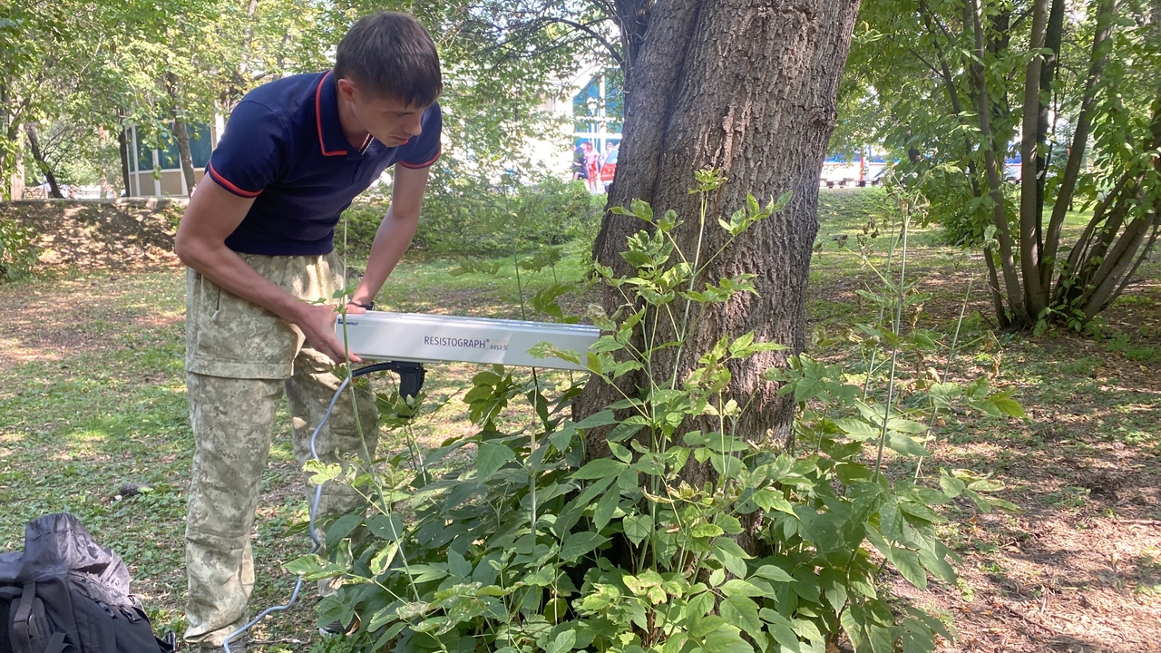 Специалисты выявили опасные деревья в Центральном парке