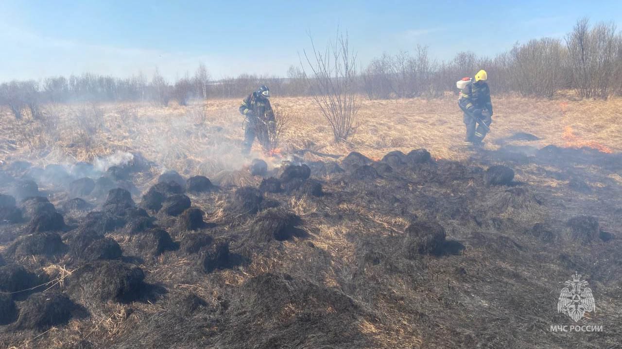 пожарные тушат пал травы