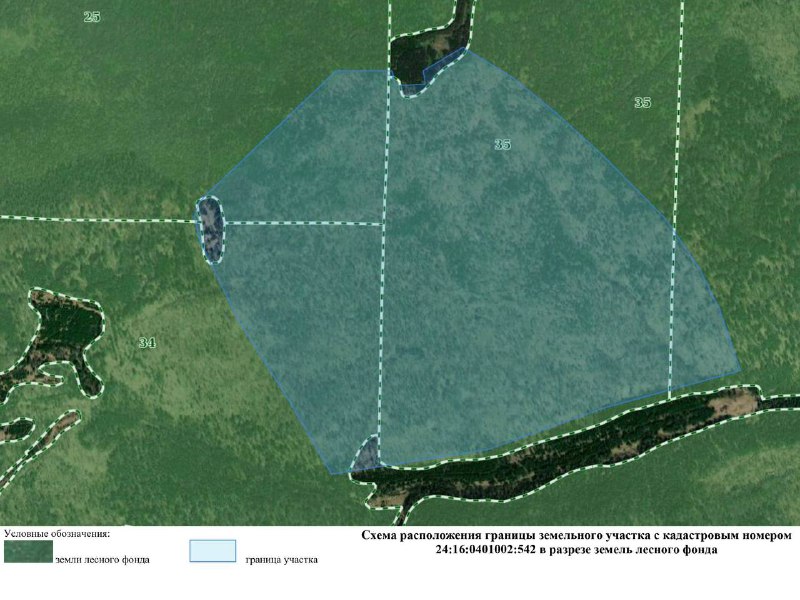 Леса на юго-востоке Красноярского края требуют вернуть государству