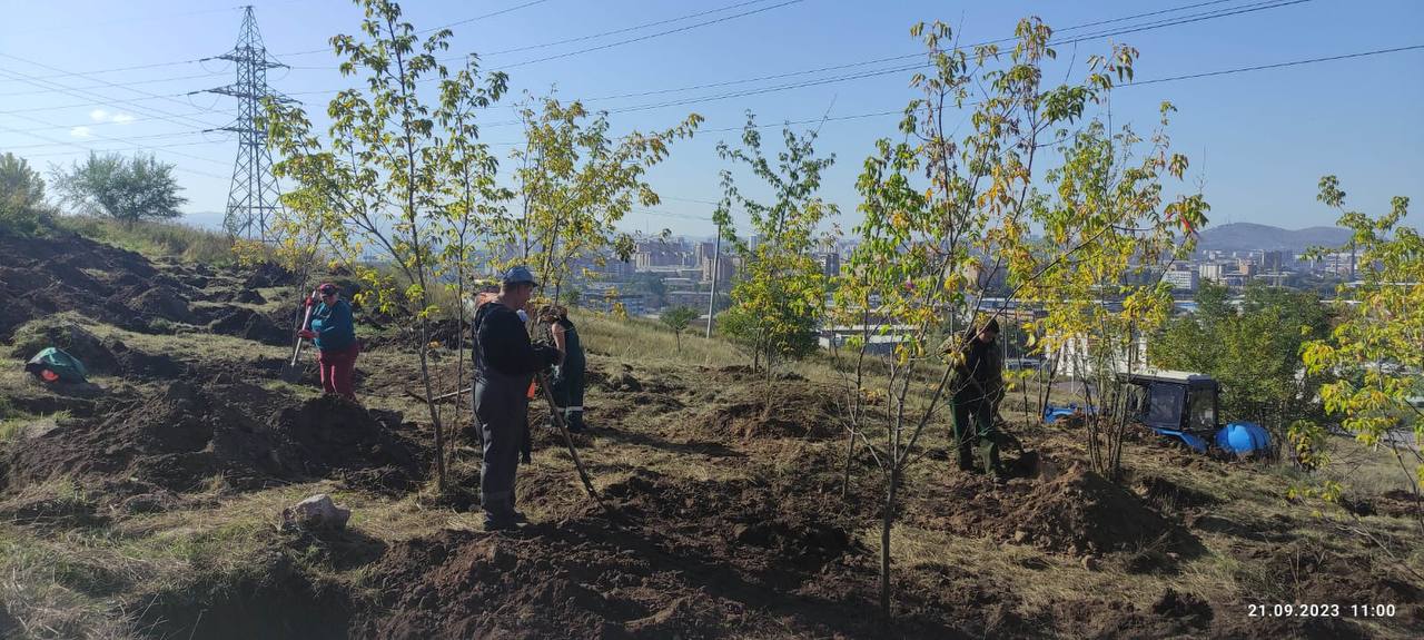 Посадки на Караульной горе