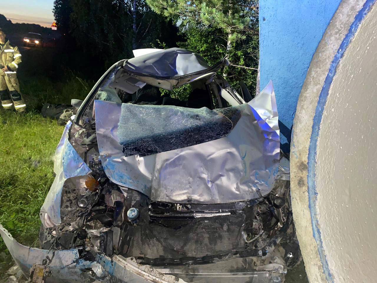 Honda врезалась в лошадь на Енисейском тракте в Красноярском крае: погиб водитель