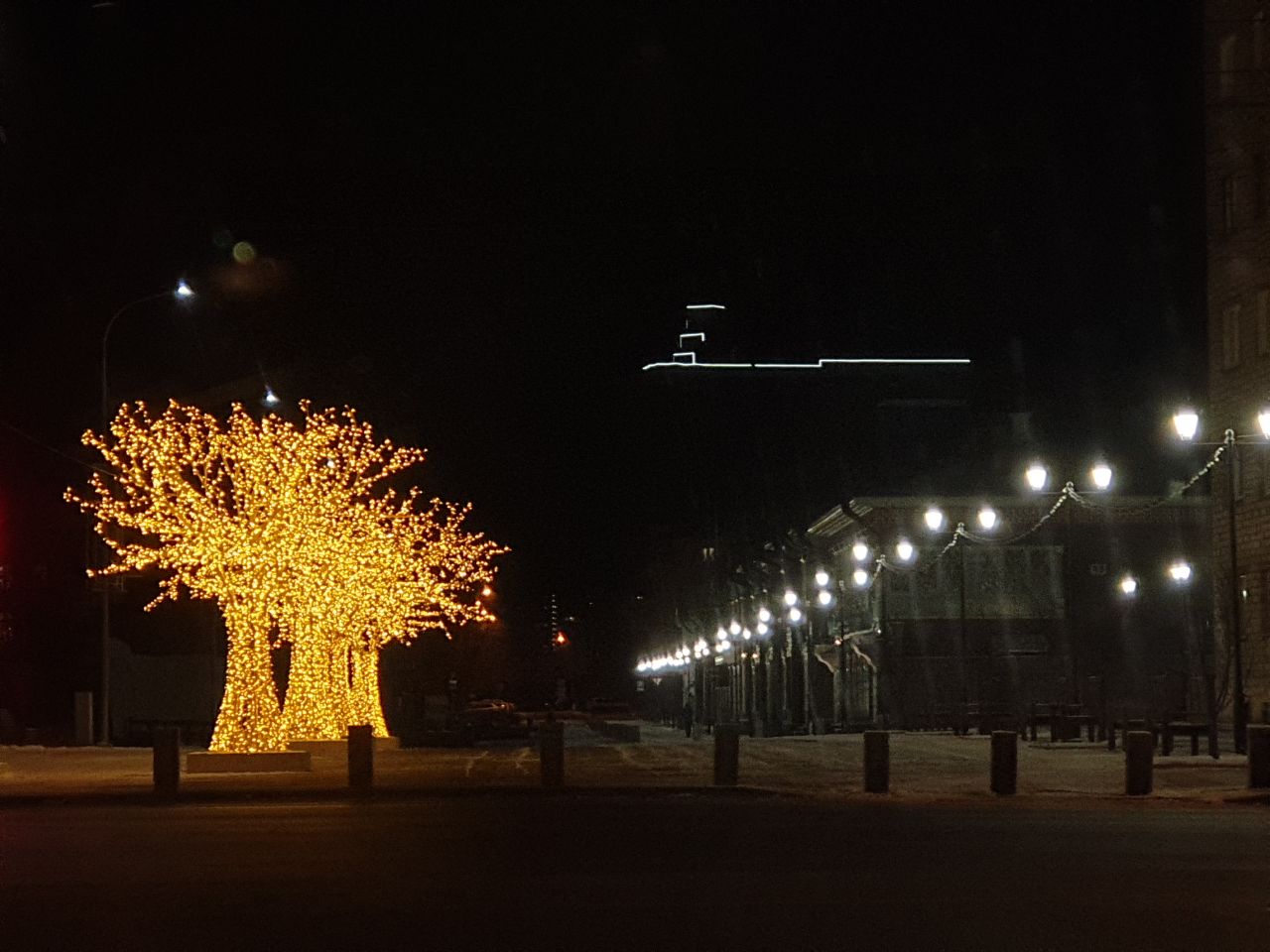 Светящиеся деревья на Горького
