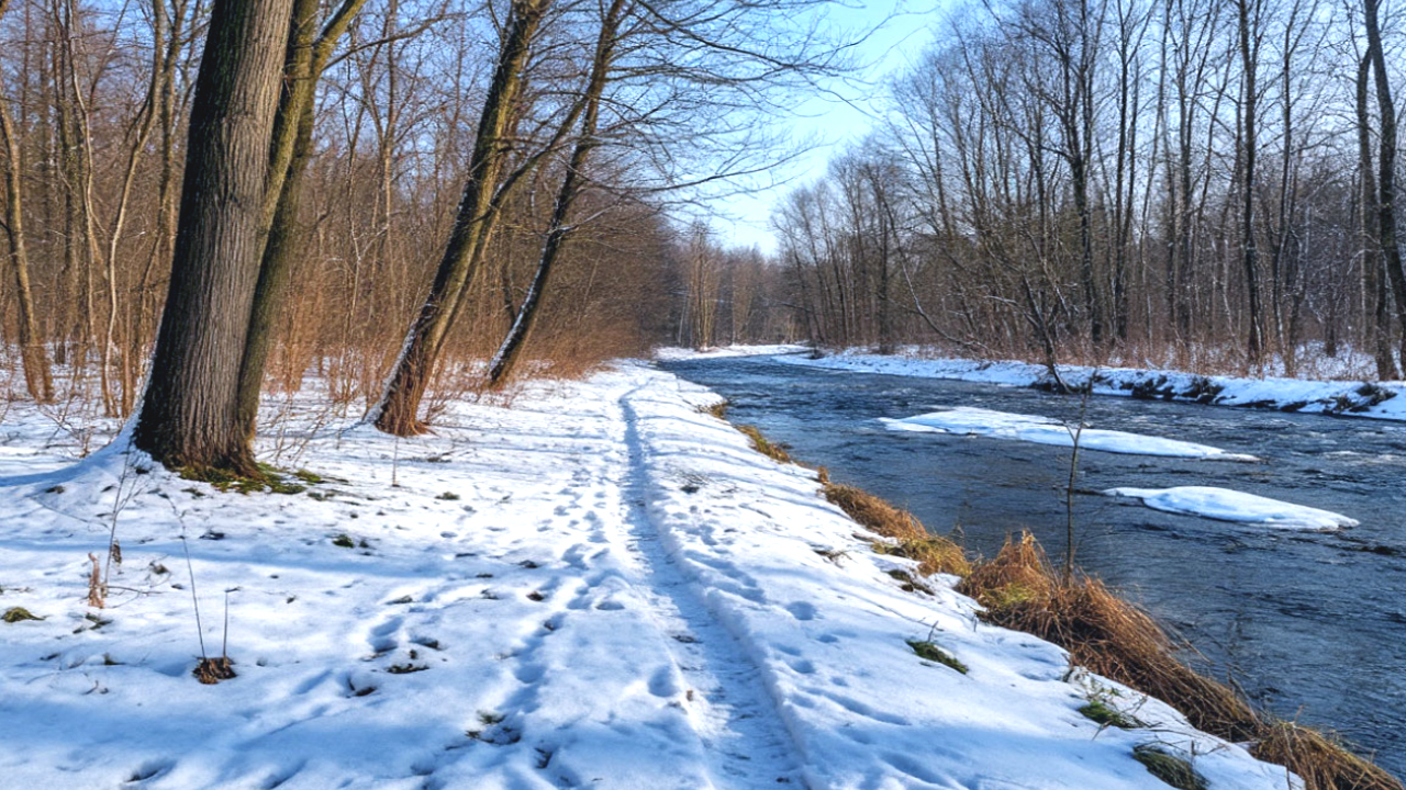 Погода ранняя весна