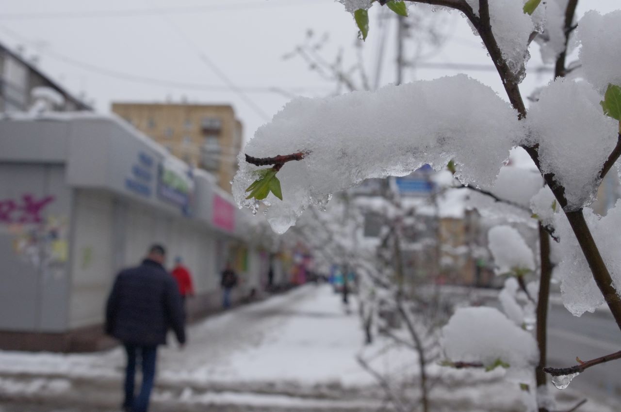 Весна погода снег Весна погода снег