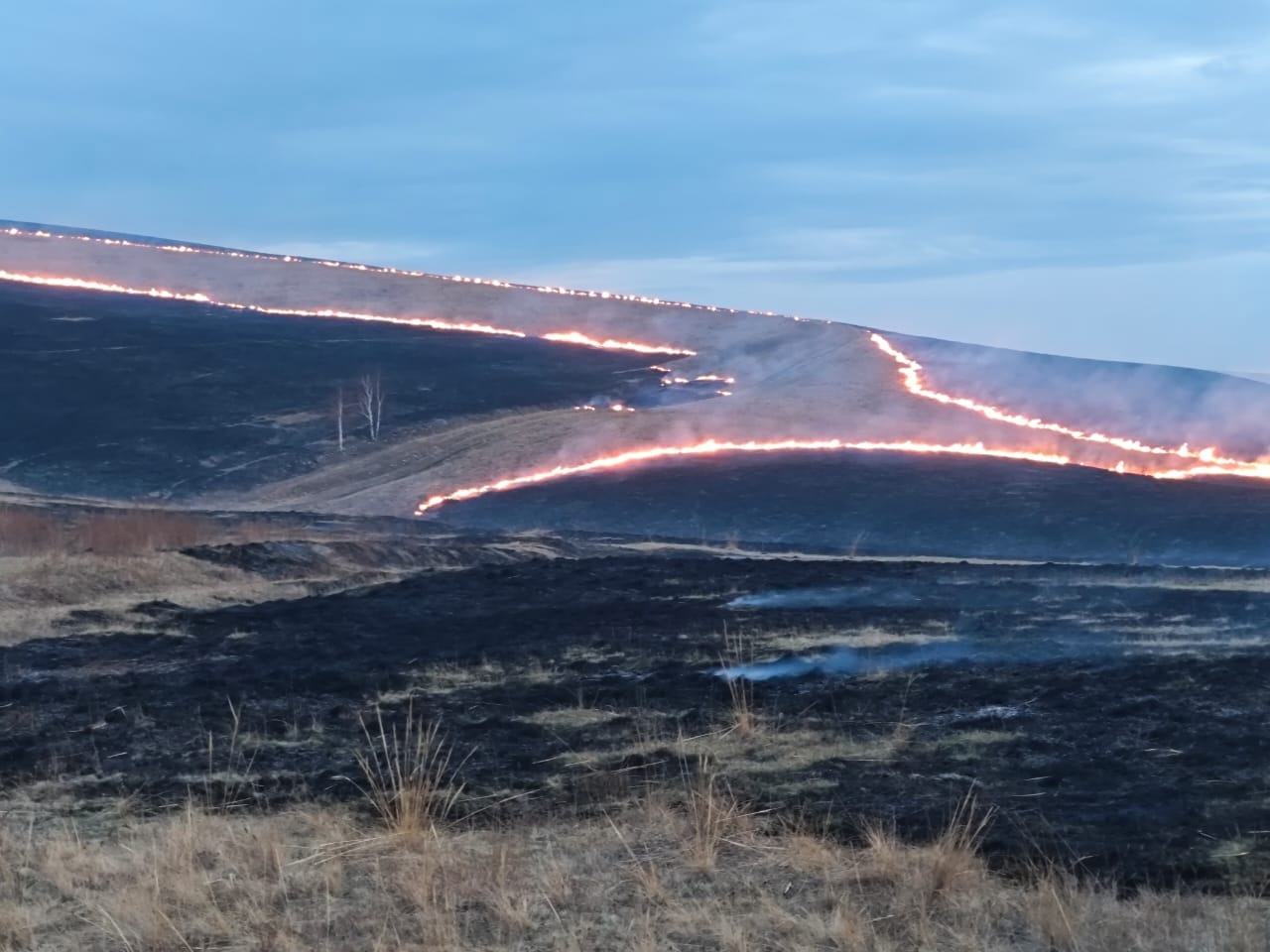 На юге Красноярского края три часа тушили огромное горящее поле