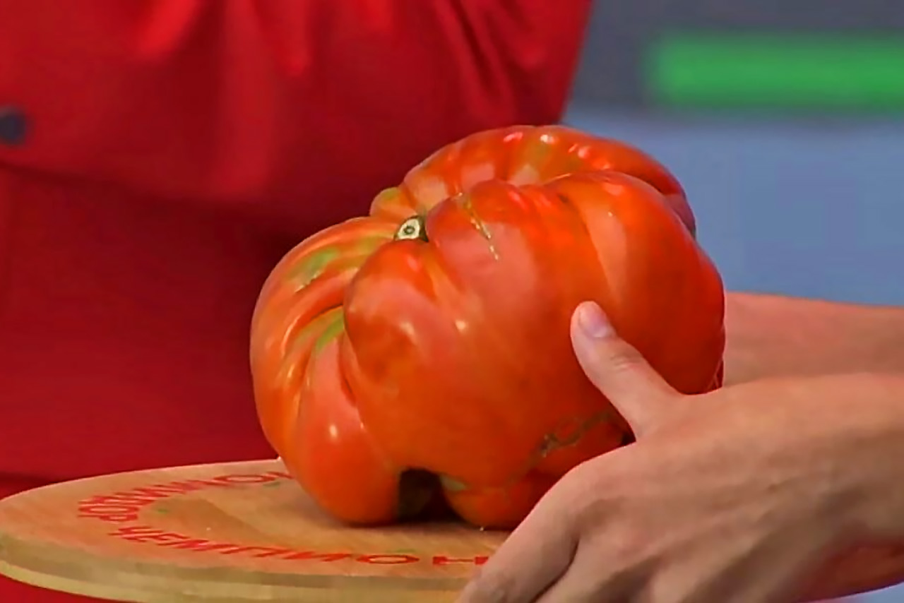 Минусинский помидор - победитель 2023 года