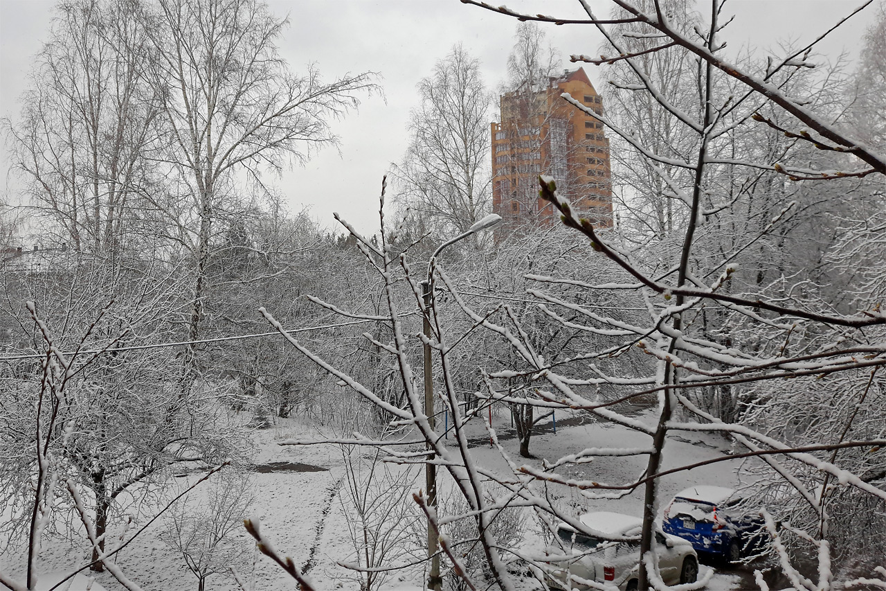 Красноярск и трассы края завалило снегом