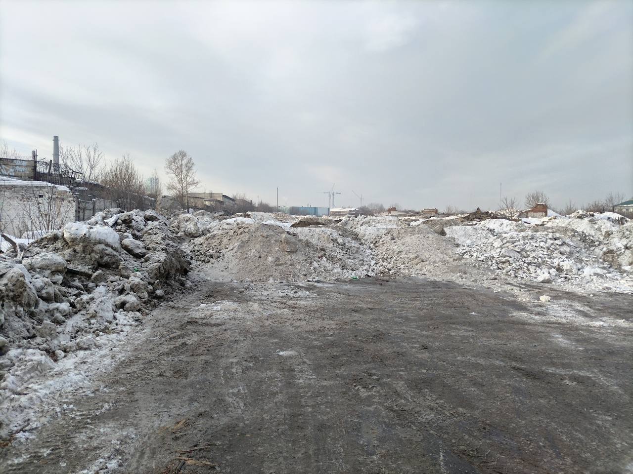грязный снегоотвал в красноярске