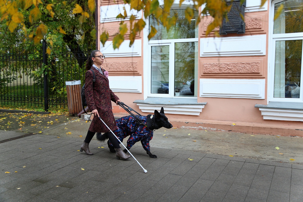 незрячая женщина с собакой поводырем на улице