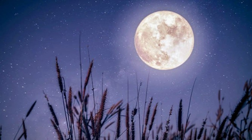 охотничье суперлуние в небе, большая луна