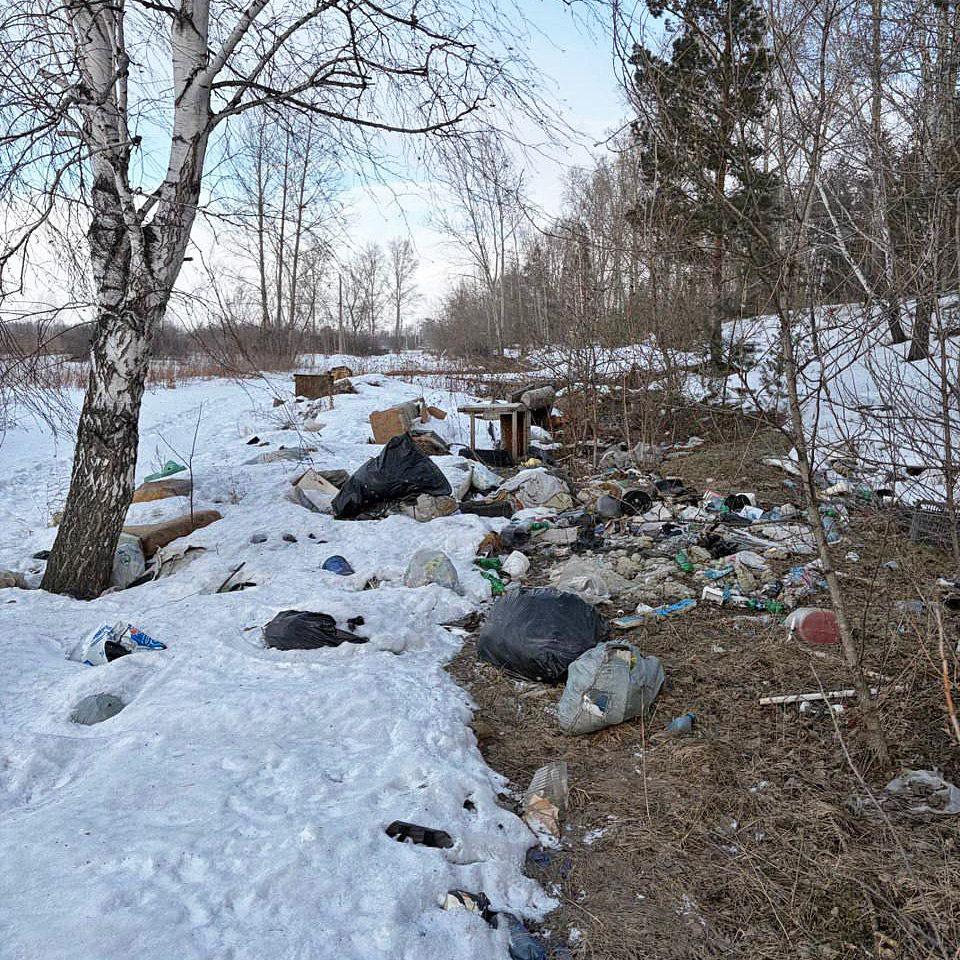Свалка в Сосновоборске - мусор