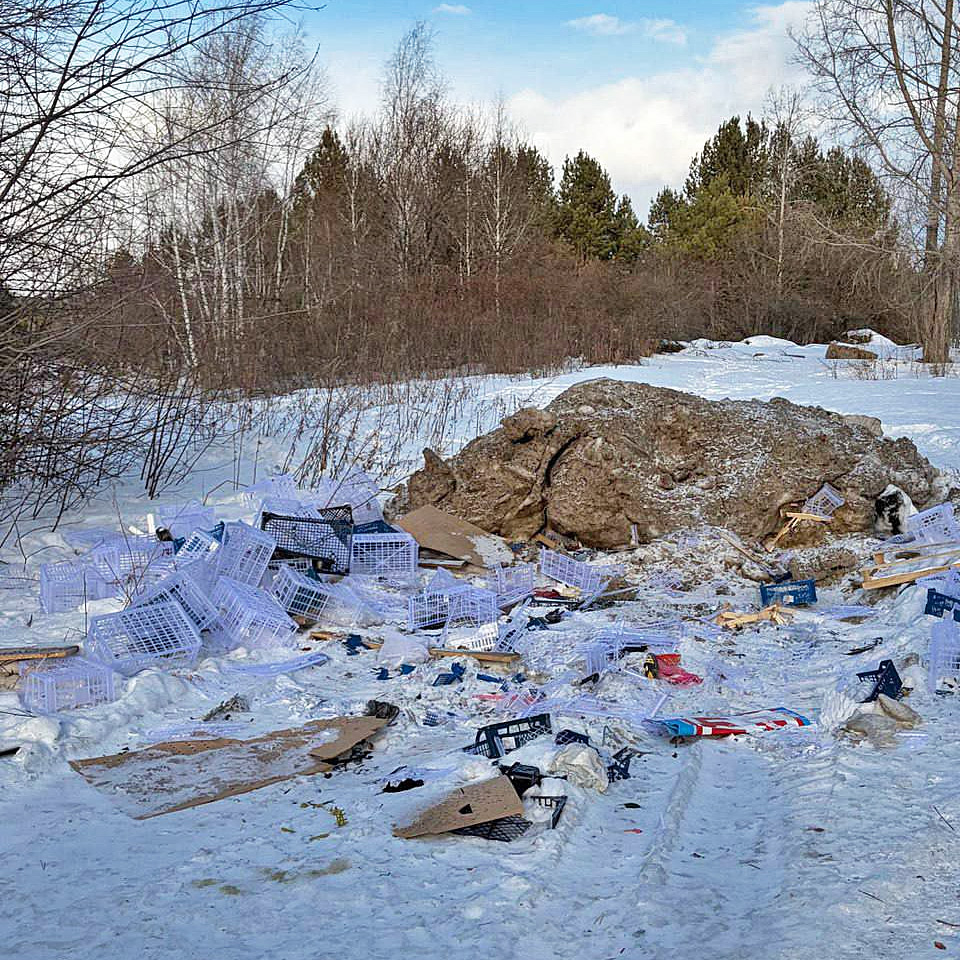 Свалка мусора Сосновоборск