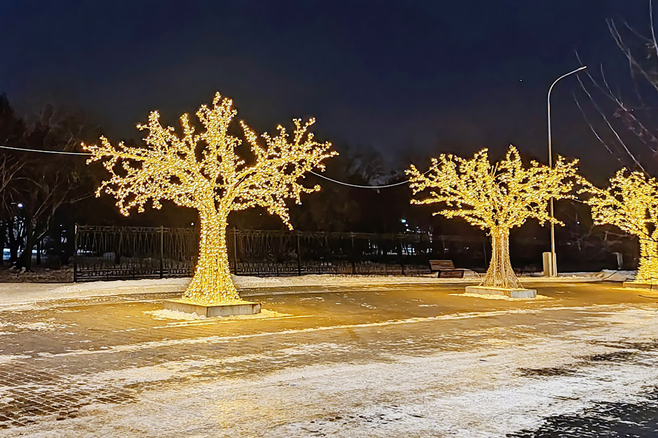 Новогодние деревья в Красноярске