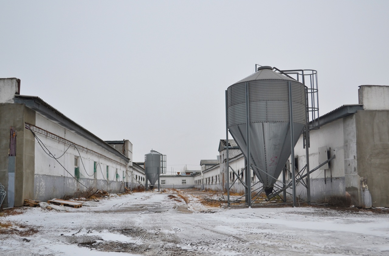 цеха свинокомплекса Шуваевский