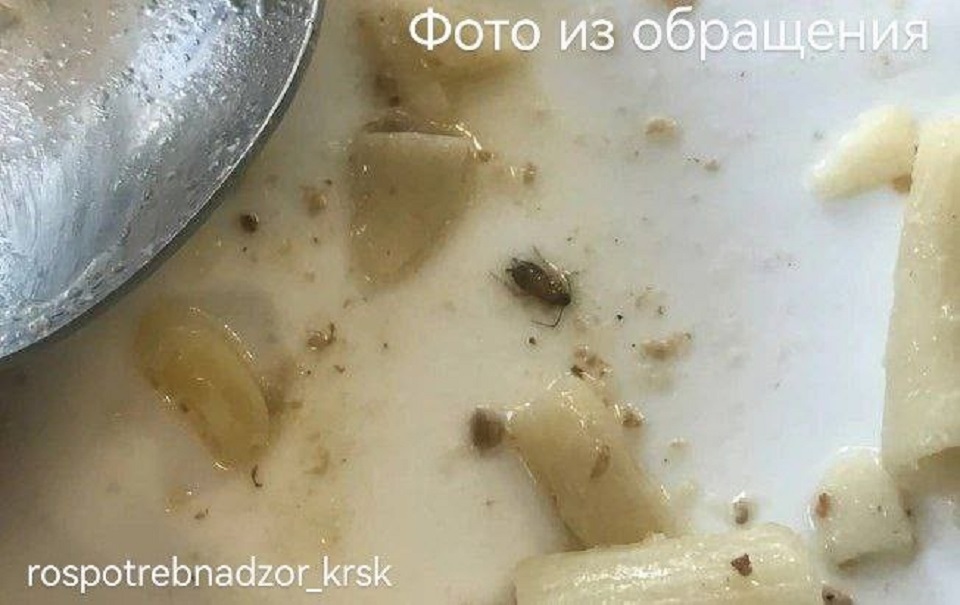 Таракан утонул в тарелке в одной из школьных столовых Красноярска