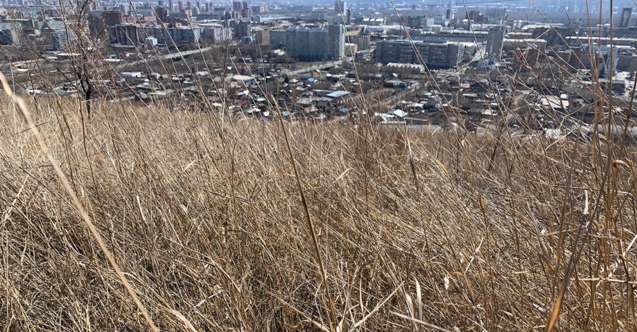 Траву и мусор не сжигать: в Красноярске объявили особый противопожарный режим