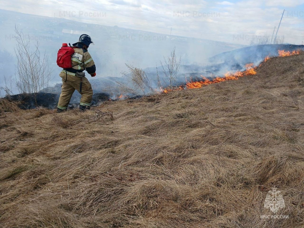 МЧС трава горит МЧС трава горит