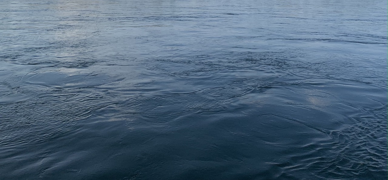 Утонувший на базе отдыха в Ачинске мужчина пополнил печальную статистику