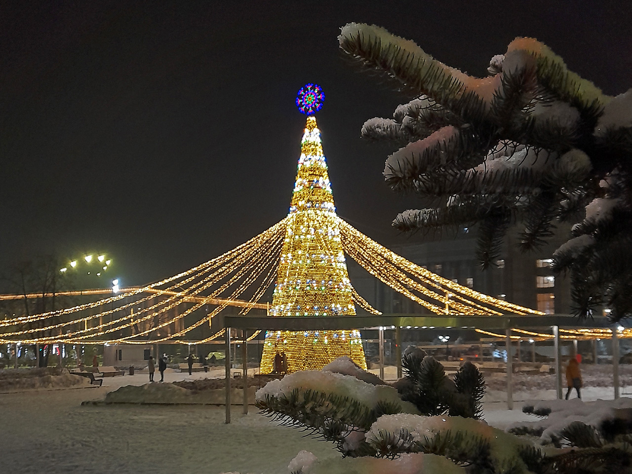 Новогодняя елка на пл. Революции в Красноярске