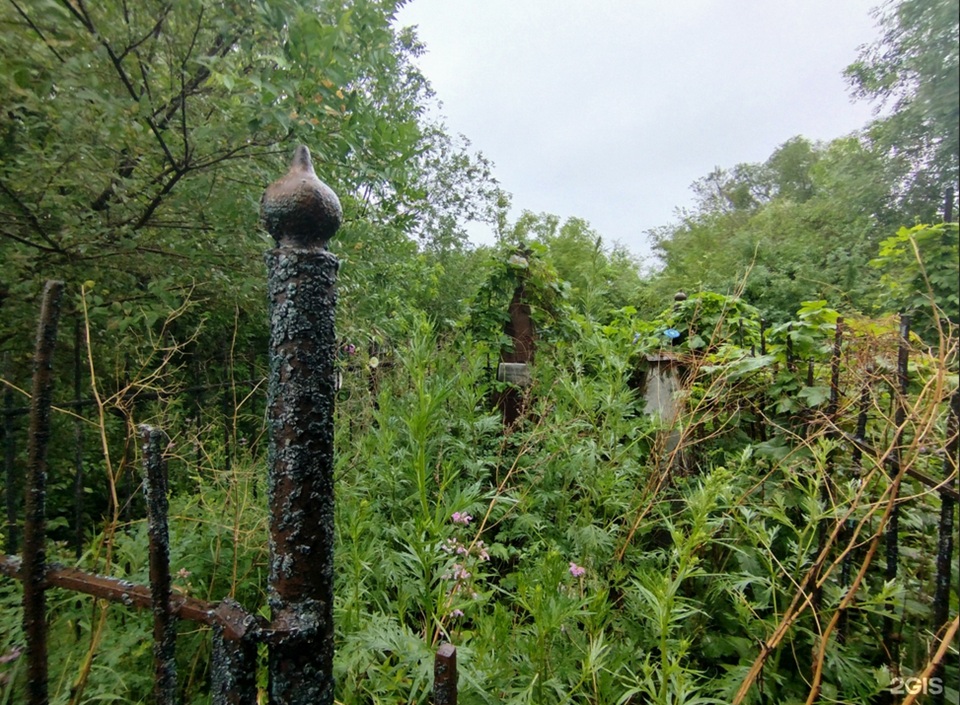 заросшее кладбище, заброшенные могилы